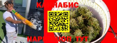 индика Ливны