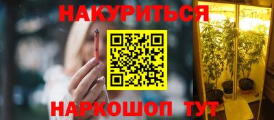 индика Ливны