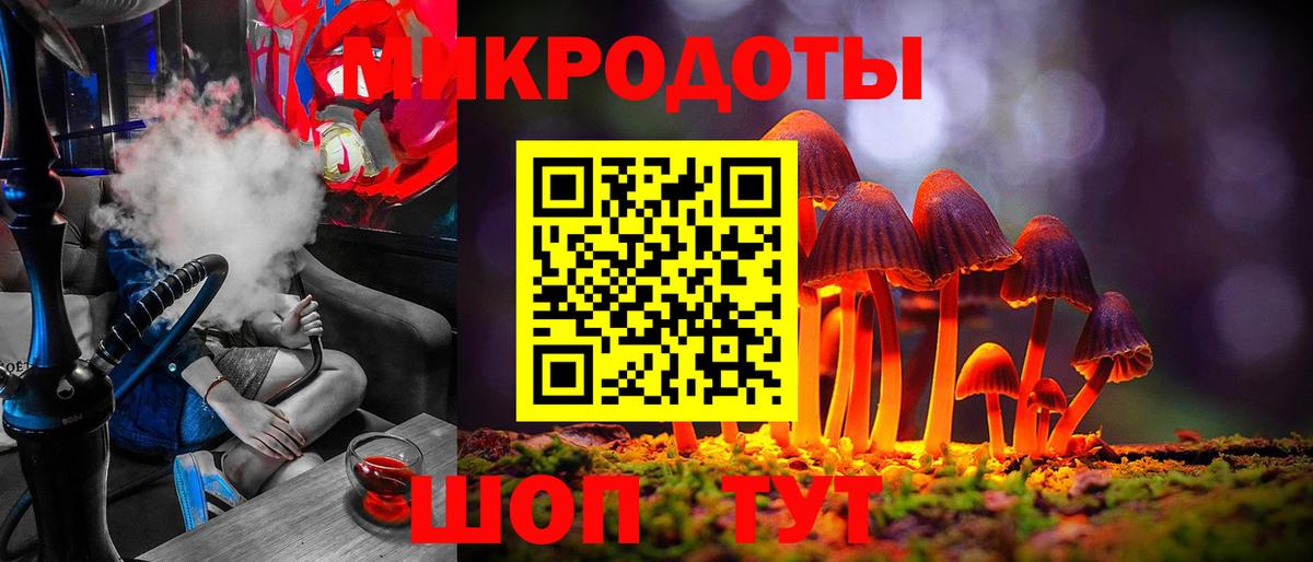Галлюциногенные грибы Magic Shrooms  закладка  Зерноград  Вход с VPN 
